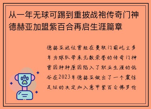 从一年无球可踢到重披战袍传奇门神德赫亚加盟紫百合再启生涯篇章 从一年无球可踢到重披战袍传奇门神德赫亚加盟紫百合再启生涯篇章