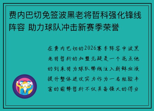 费内巴切免签波黑老将哲科强化锋线阵容 助力球队冲击新赛季荣誉